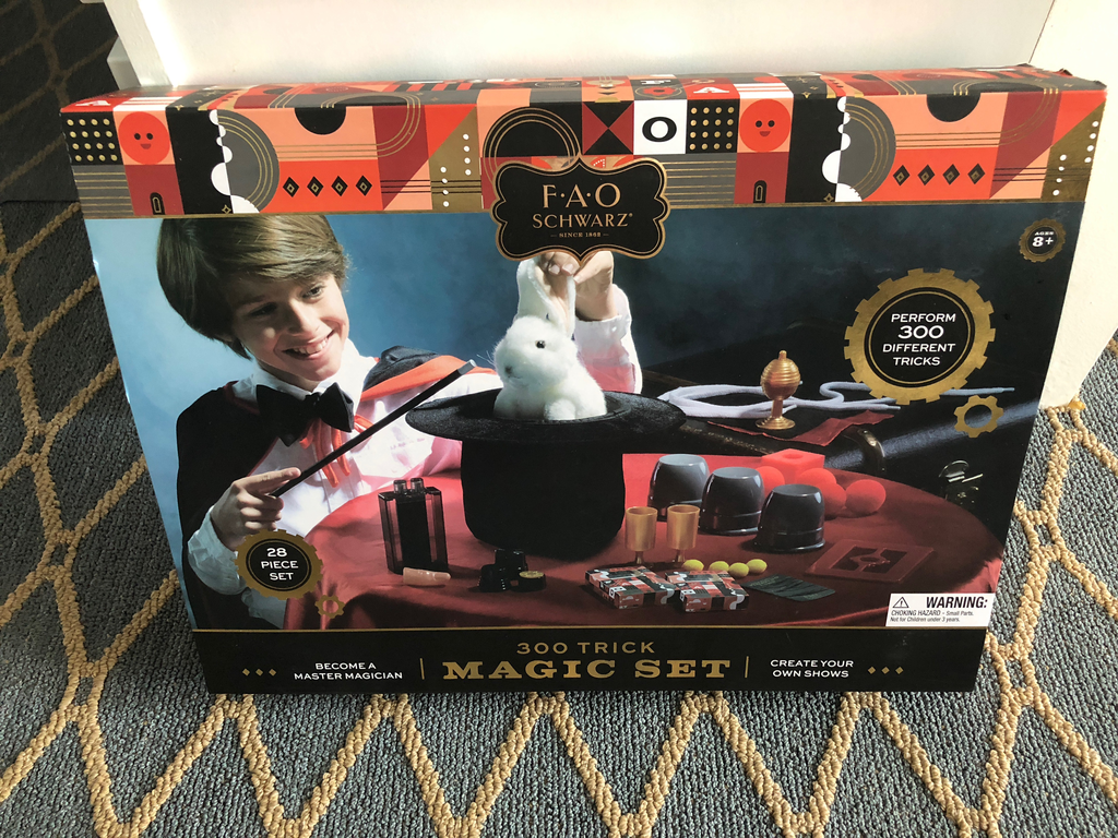 fao schwarz magic set