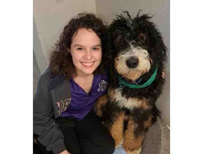 Sponsor Our Best High School Essay Winner's Scholarship and Mentor Trip [From AZ]