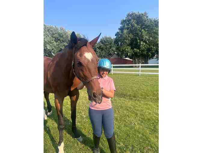 Sponsor Our Best Middle School STEM Winner's Scholarship and Mentor Trip [From IL]