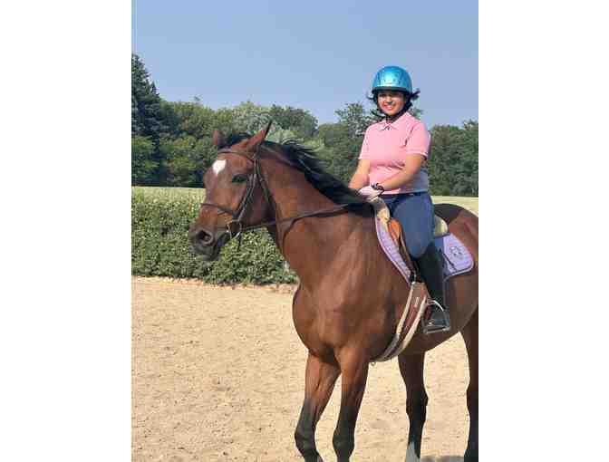 Sponsor Our Best Middle School STEM Winner's Scholarship and Mentor Trip [From IL]