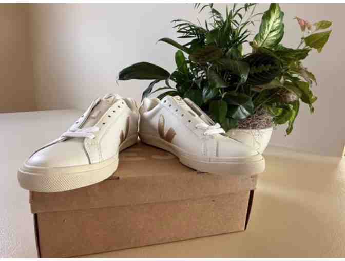 A pair of Veja Esplar Leather Sneakers- Women's Size 8