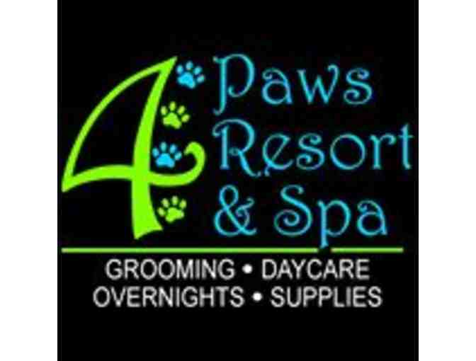 SPA SERVICE FOR YOUR DOG OR CAT @ 4 PAWS RESORT & SPA