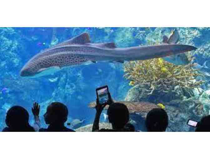 AQUARIUM OF THE PACIFIC - ADMISSION FOR TWO (2)
