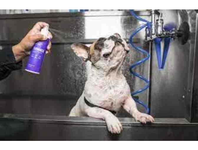 HEALTHY SPOT FOR DOGS - SIGNATURE SPA TREATMENT