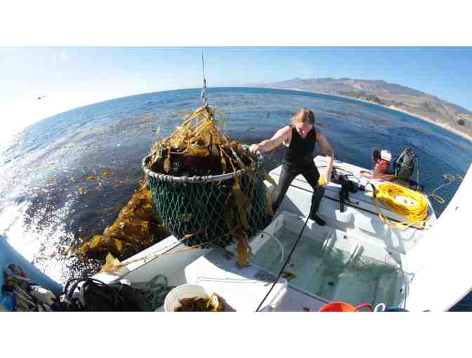 SEA STEPHANIE FISH - $100 SEAFOOD GIFT CERTIFICATE