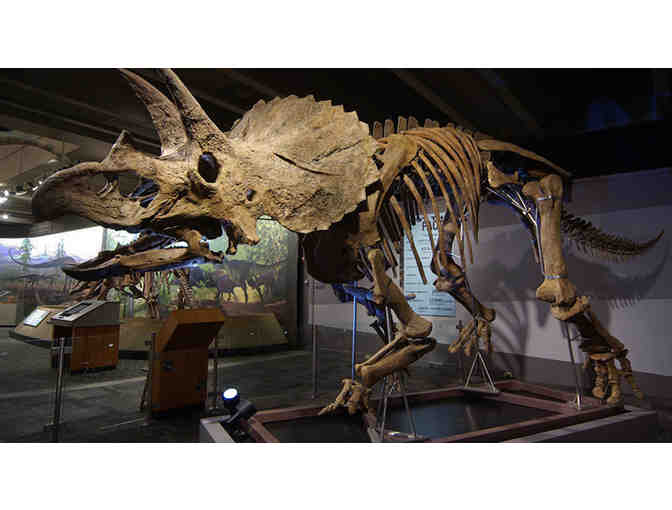 Museum of Science - 4 exhibit hall passes (exp. 6/30/17)