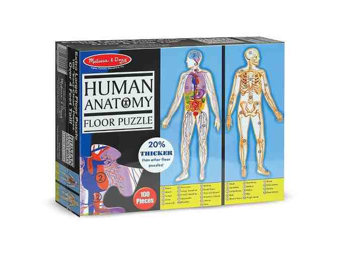 Science for days!!! Science basket chalk-full of everything!