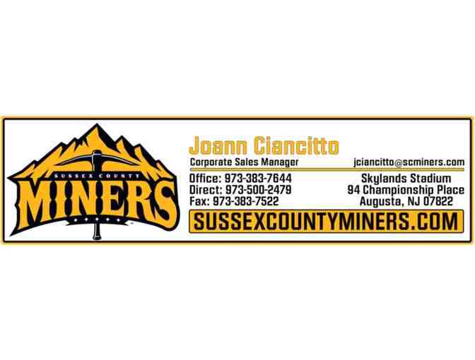 Catch Games at Local Minor League Ball Parks