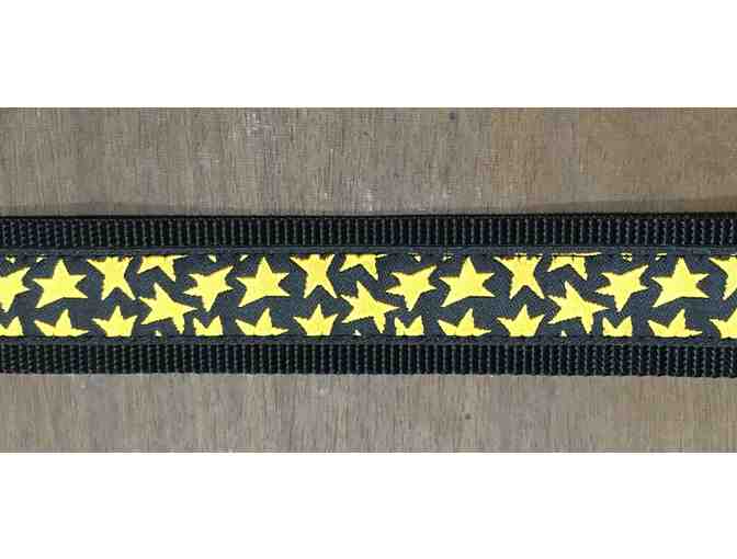 I've Got Stars In My Eyes  dog collar