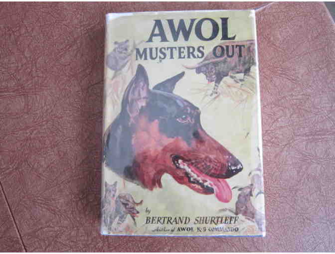 AWOL the Doberman.  (Full set)