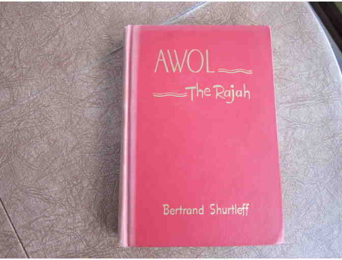 AWOL the Doberman.  (Full set)