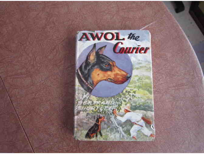 AWOL the Doberman.  (Full set)