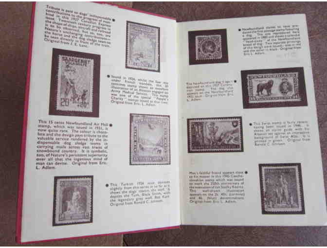 The Complete Doberman Pinscher   1st Edition