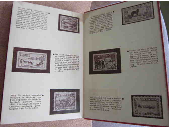 The Complete Doberman Pinscher   1st Edition