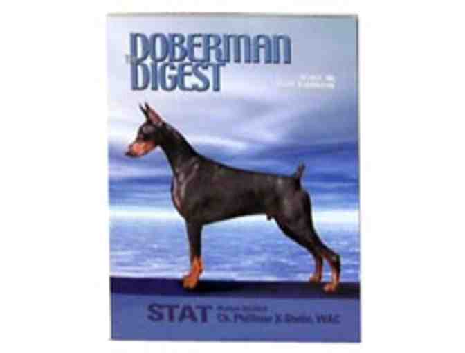 Jeff Brucker Show Dog Handling DVD + Bonuses