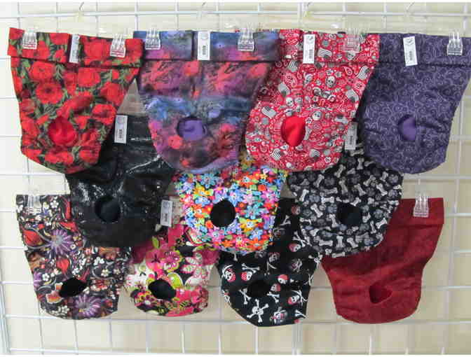 Two pair of Bitches Britches