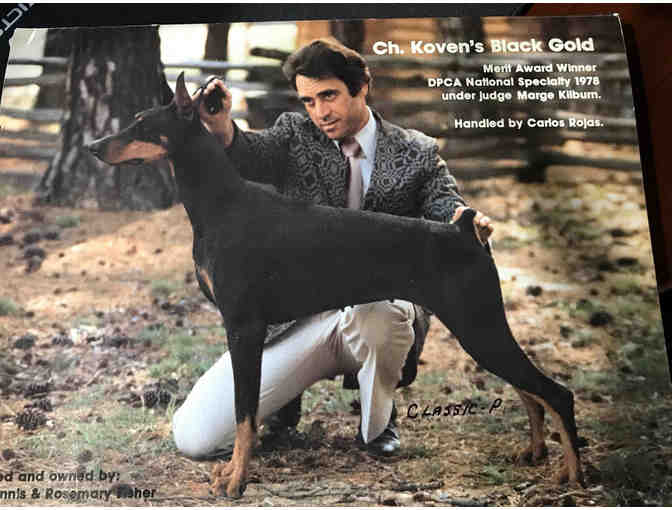 1978 CHRISTMAS DOBERMAN QUARTERLY