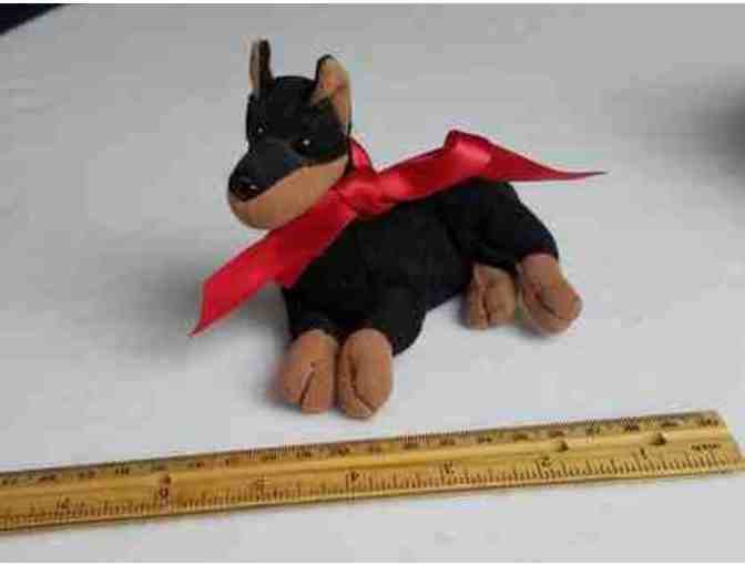 Doberman rescue combo