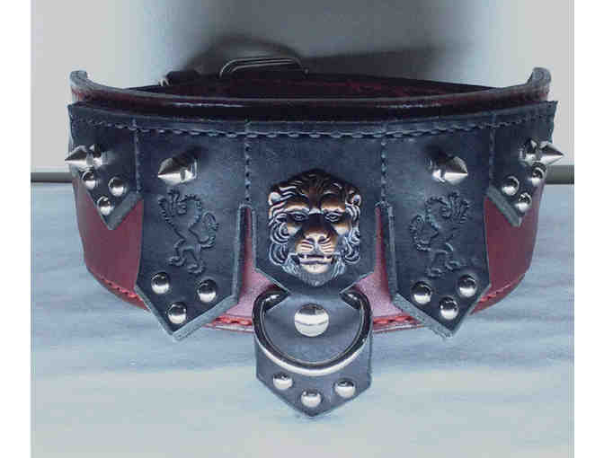 Bacchus leash and collar