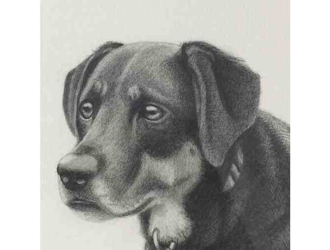 Custom Portrait of your Dog by "Off the Leash" artist Rupert Fawcett - Photo 2