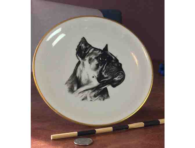 Boxer Plate