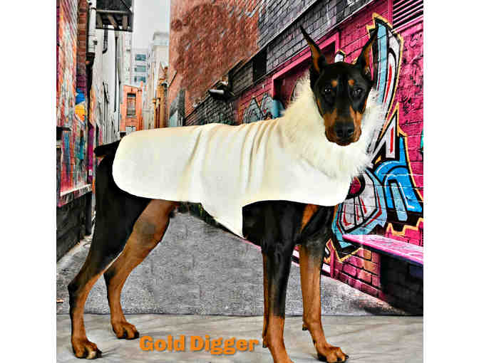 Custom Made Dog Coat