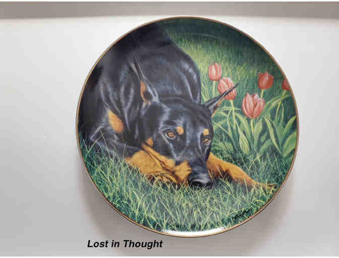 Plate - Lost In Thought