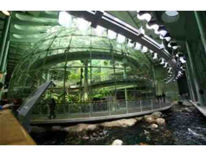 California Academy of Sciences - Four One Day General Admission Tickets