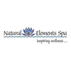 Natural Elements Day Spa and Salon