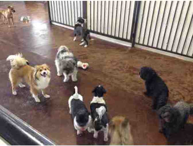 $25 Gift Certificate to East Plano Doggie Daycare & Boarding