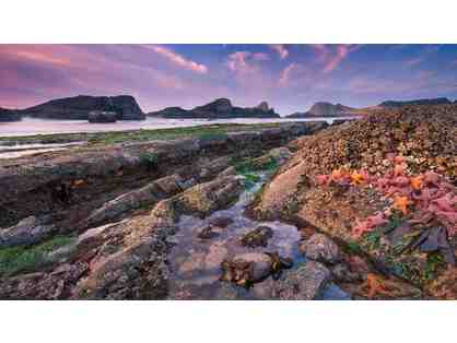 Tide Pooling and Burgers in Half Moon Bay with Miss Anderson - 6/3/18