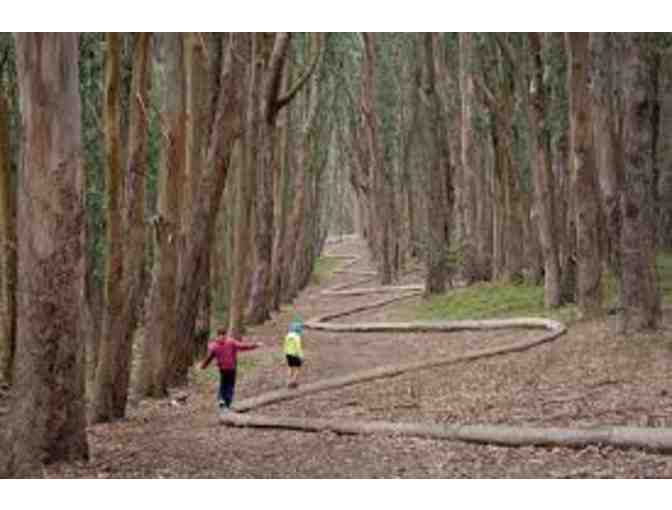 Walking Art Tour of the Presidio with Diane Cassil - 9/14/18
