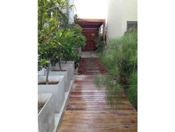 A Landscape Design Day With Florencia Frankenberg