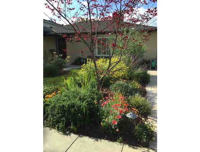 A Landscape Design Day With Florencia Frankenberg