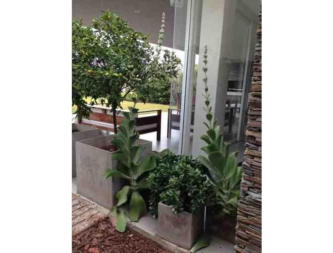 A Landscape Design Day With Florencia Frankenberg