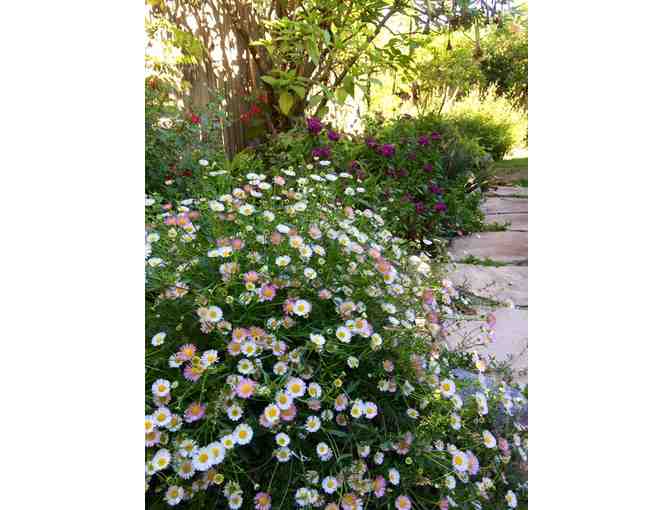 A Landscape Design Day With Florencia Frankenberg