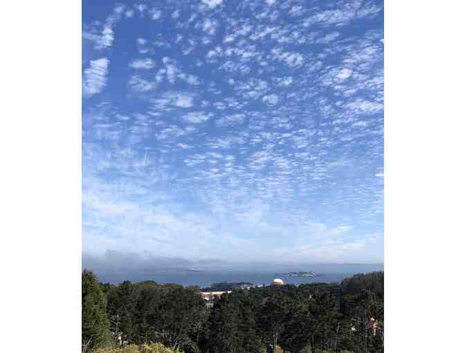 Goldsworthy in The Presidio - An Art Walking Tour - Saturday, 9/28/19