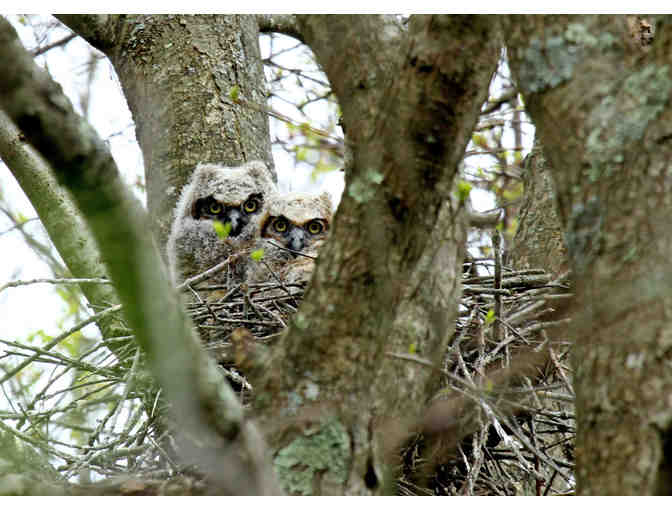 Audubon Family Membership
