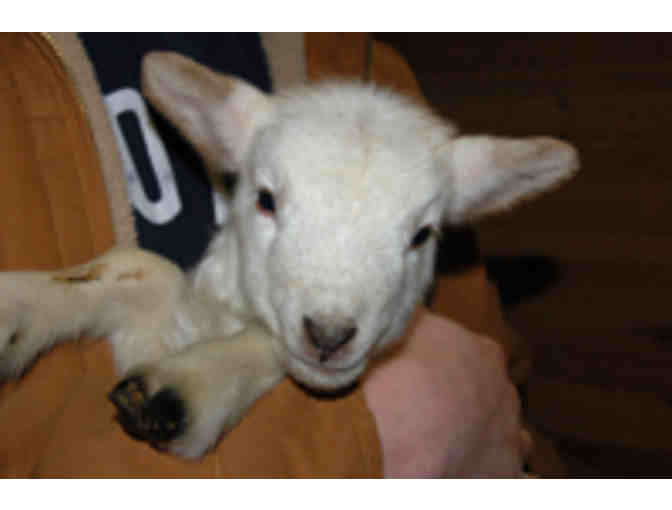 Historic Plimoth Plantation -- Two Passes