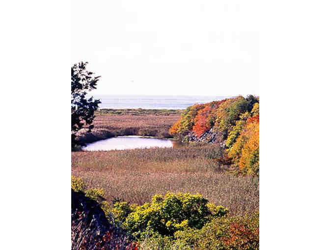 Norman Bird Sanctuary in Middletown, RI - Household Membership