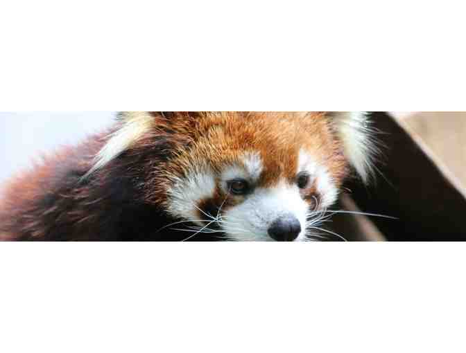 Roger Williams Park Zoo - Four Admission Passes