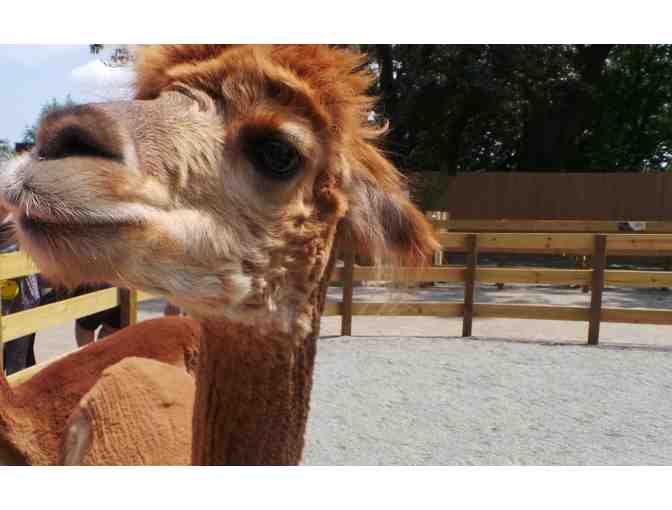 Roger Williams Park Zoo - Four Admission Passes