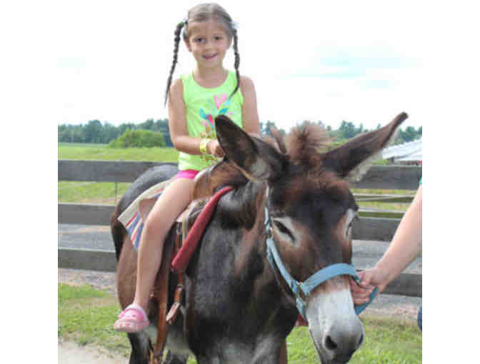 Davis Farmland & Mega Maze - Two Day Passes