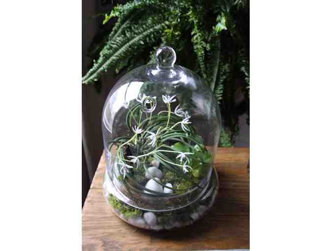 Handcrafted Terrarium from Rock Farm Gardens