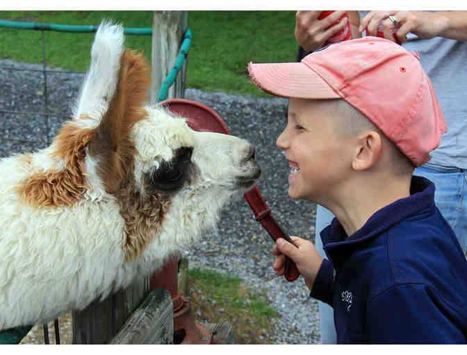 Davis Farmland Discovery Farm 2 Day Passes