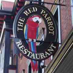 Red Parrot