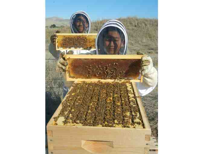 Beekeeping Workshop with Honey and Wine Tasting for Two in Livermore
