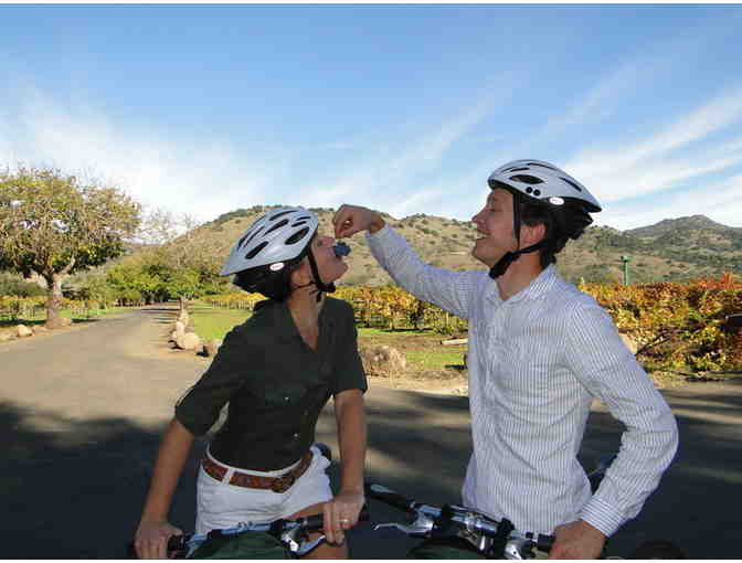 One Day Bicycle Rental for Two in Napa or Sonoma Valley