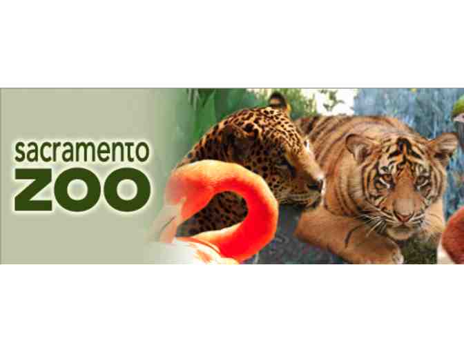 Sacramento Zoo Family Pass