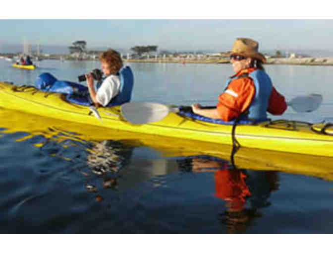 Naturalist Led Kayak Tour in the Elkhorn Slough in Moss Landing